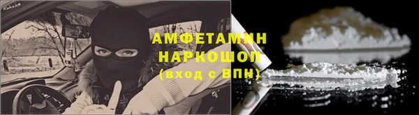 прущие грибы Пестово