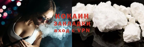 прущие грибы Пестово