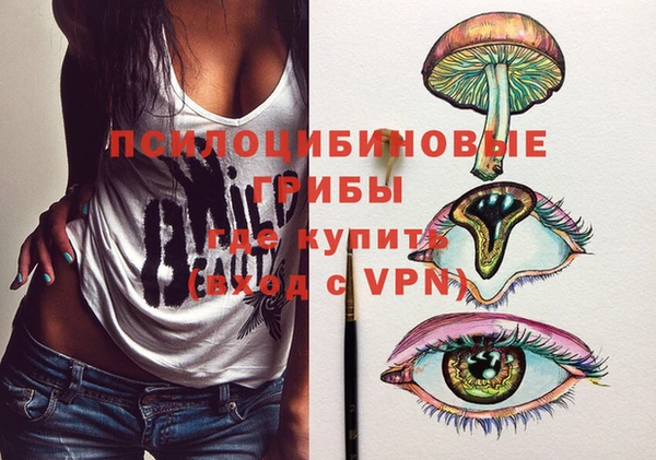 прущие грибы Пестово