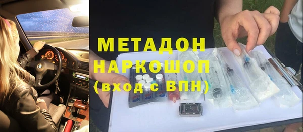 прущие грибы Пестово